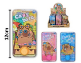Capybara Water Game (assortment)