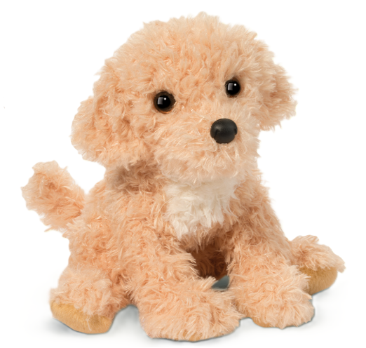 Noodle le Goldendoodle