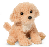 Noodle le Goldendoodle