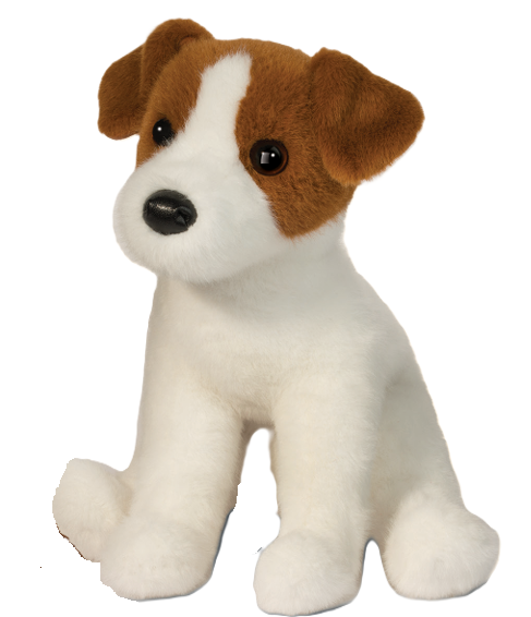 Fiona le Jack Russel Terrier