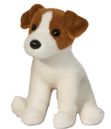 Fiona le Jack Russel Terrier