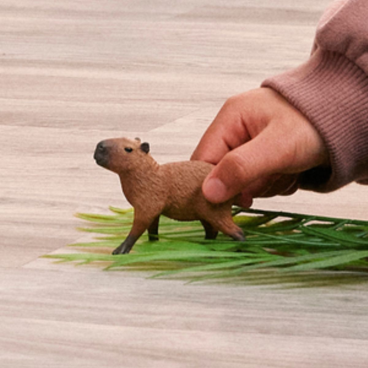 Capybara