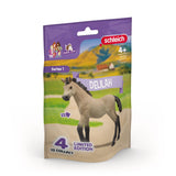 Poulain Horse Club à collectionner