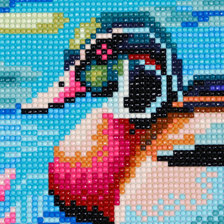 Diamond Painting - Duck - 50 x 40 cm