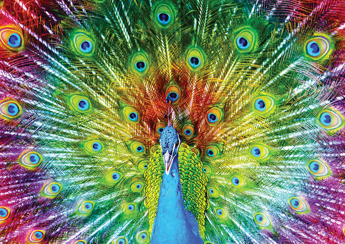Paon coloré - 1000 mcx