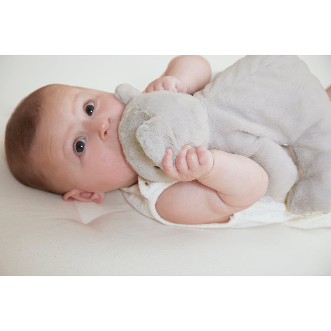 Kaloo - Weighted plush toy - Koala