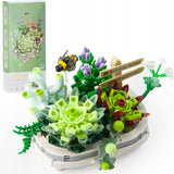 Plantes succulentes en pot - LOZ Mini