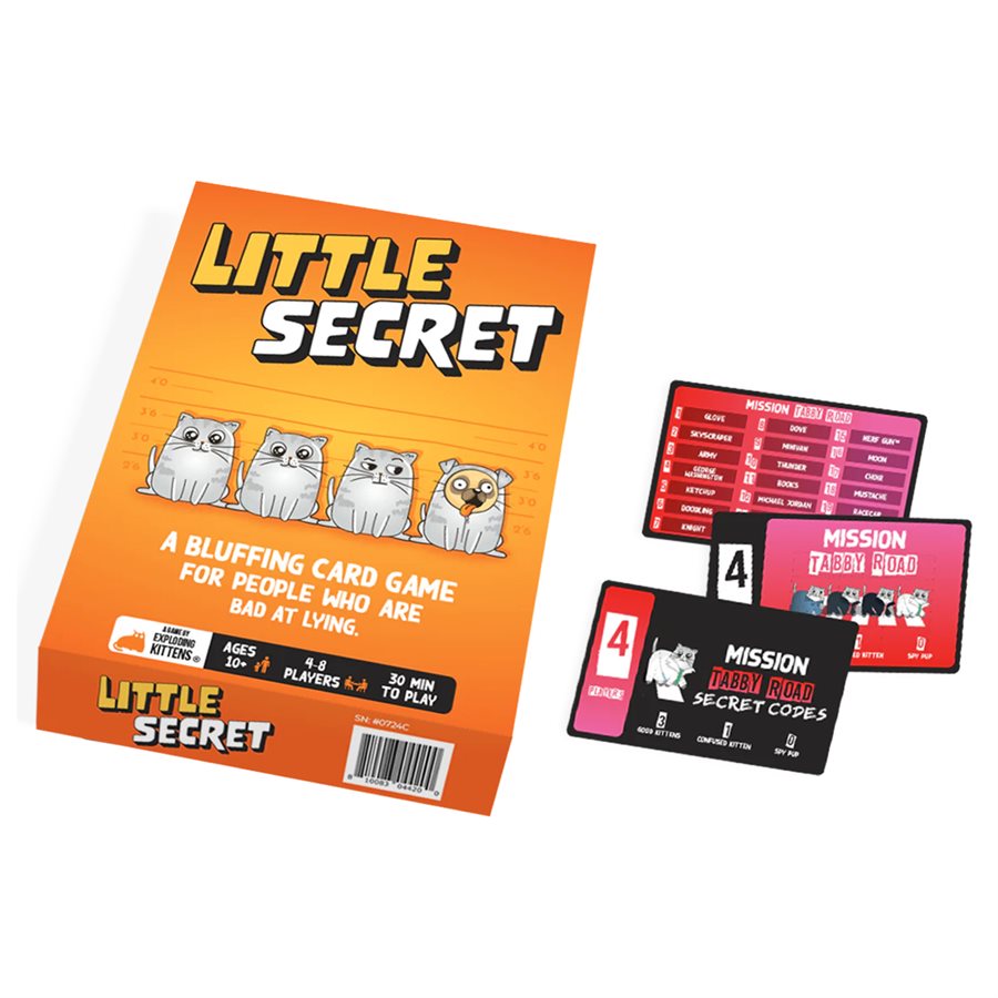 Little Secret (Ang)