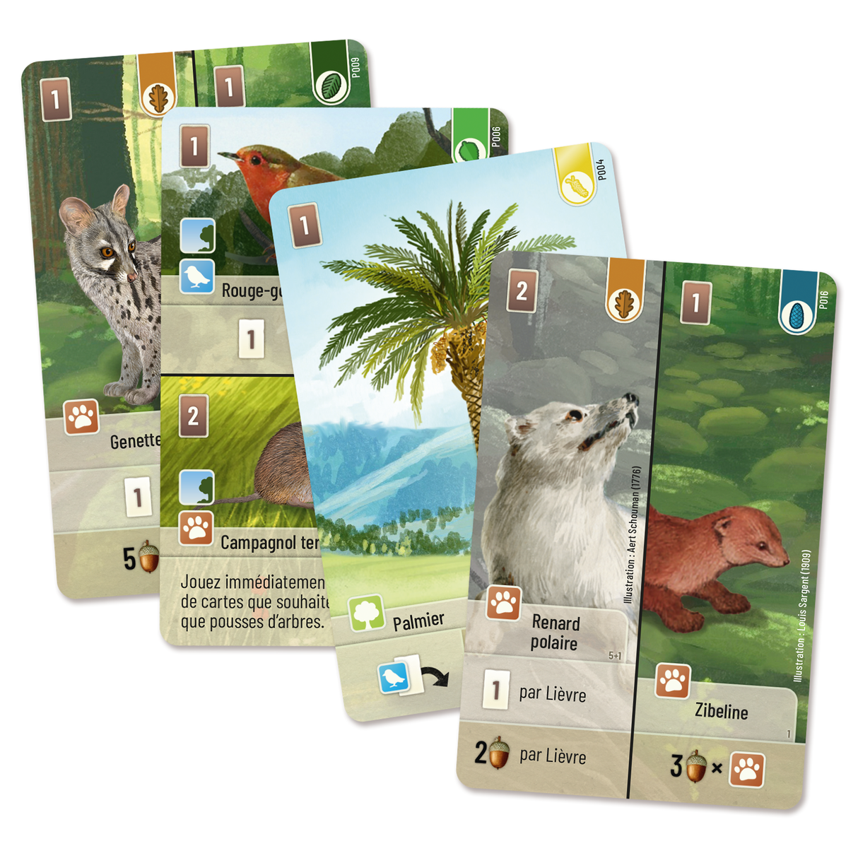 Forêt Mixte - Exploration (Exp) (Fr)