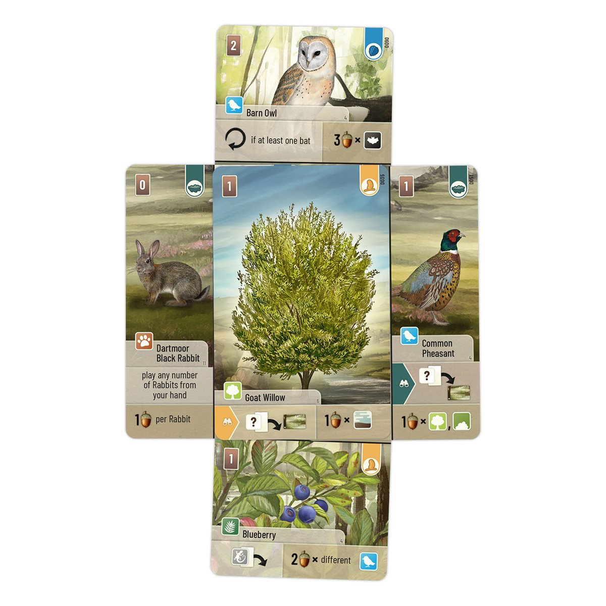 Forest Shuffle - Dartmoor (Ang)