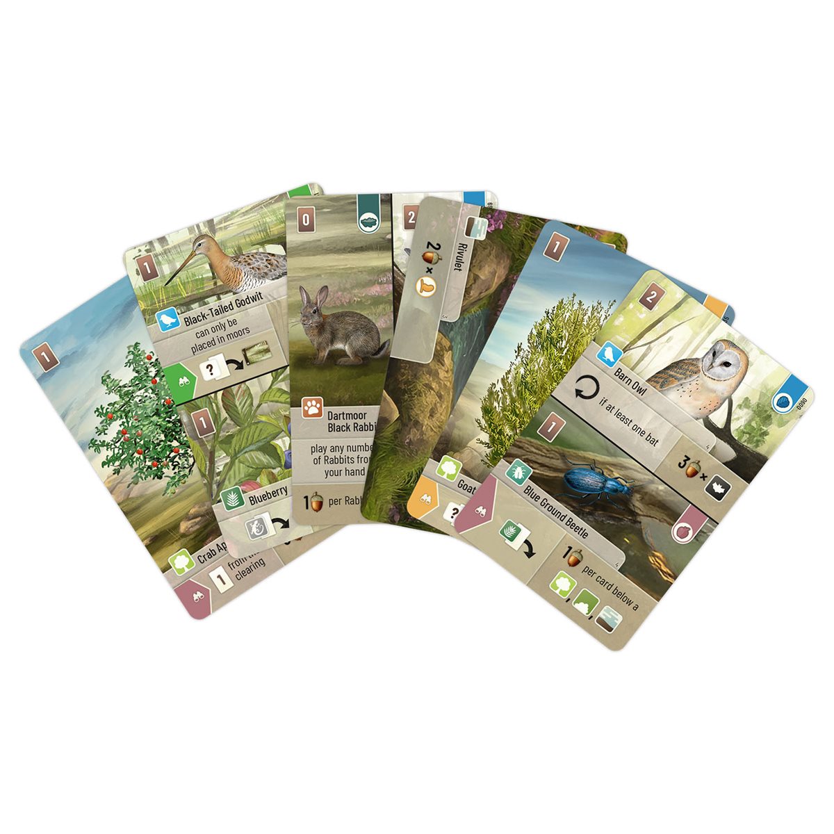Forest Shuffle - Dartmoor (Ang)