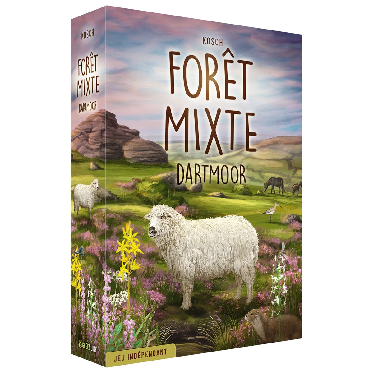 Forêt Mixte - Dartmoor (Fr)
