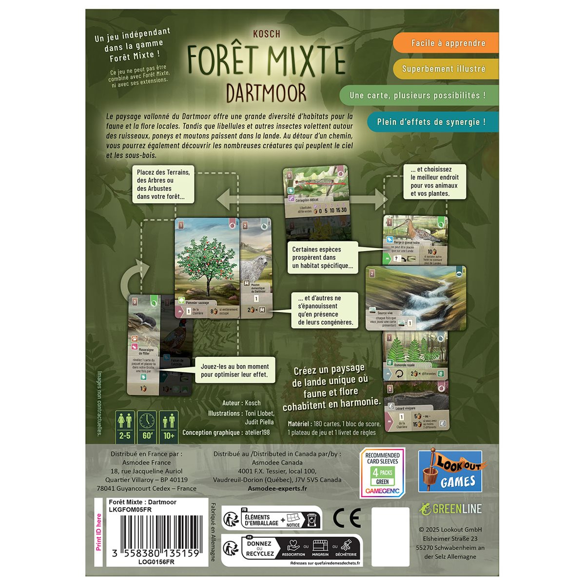 Forêt Mixte - Dartmoor (Fr)