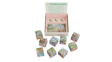 Les cubes puzzle de Nono (Fr)