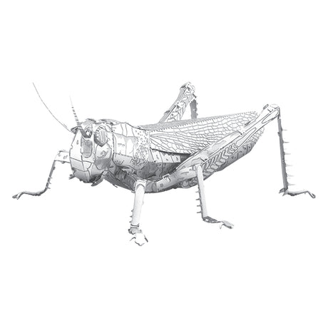 Metal Earth - Sauterelle