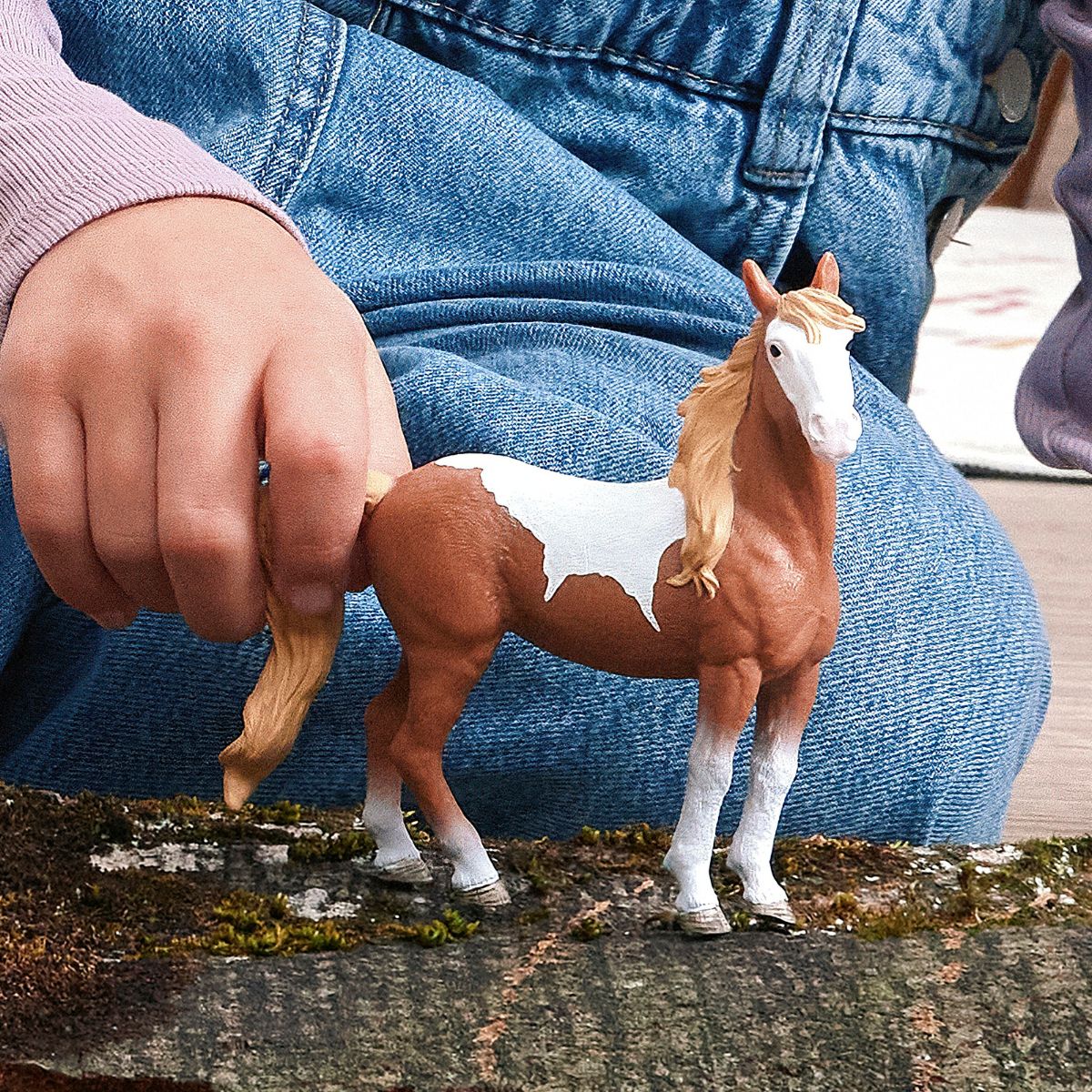 Jument Mustang