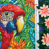 Broderie de diamant - Perroquet