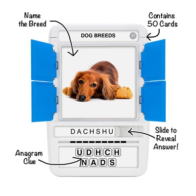 100 Pics - Dog Breeds (Ang)