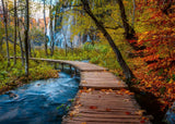 Autumnal Wooden Trail - 1000 mcx