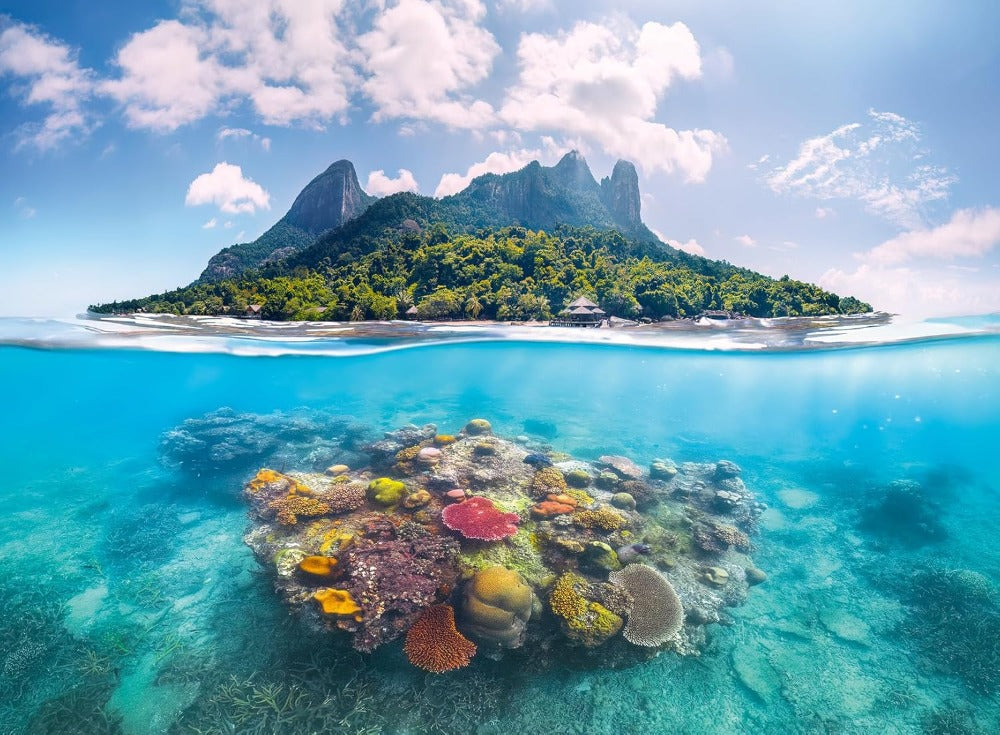 Island Waterscapes - 500 mcx