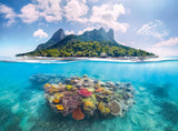 Island Waterscapes - 500 mcx
