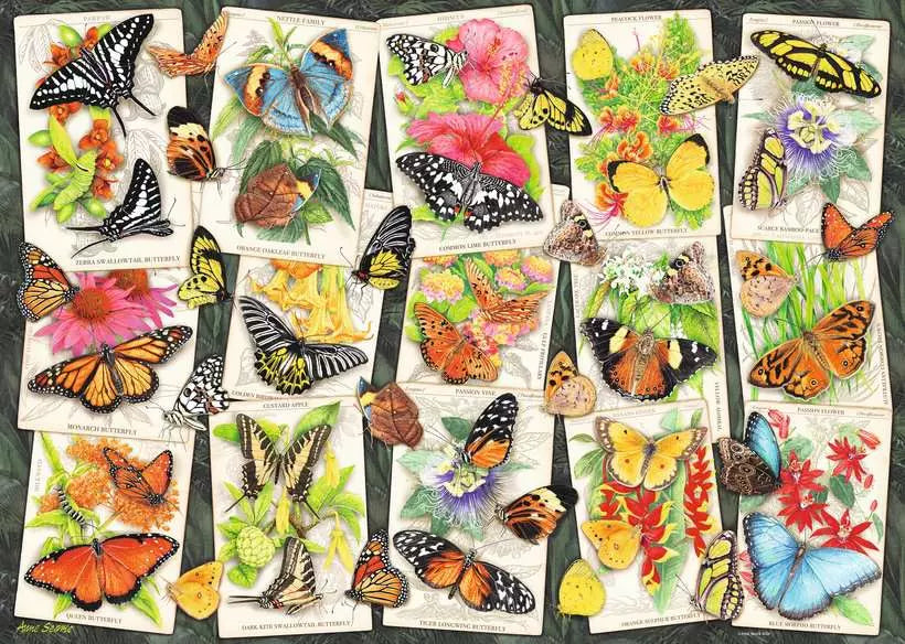 Tropical Butterflies - 1000 pcs