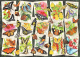 Tropical Butterflies - 1000 pcs
