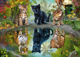 Dream big - 1000 pcs