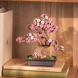 DIY Creation Set - Sakura Bonsai