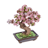 DIY Creation Set - Sakura Bonsai