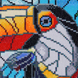 Broderie de diamant - Toucan