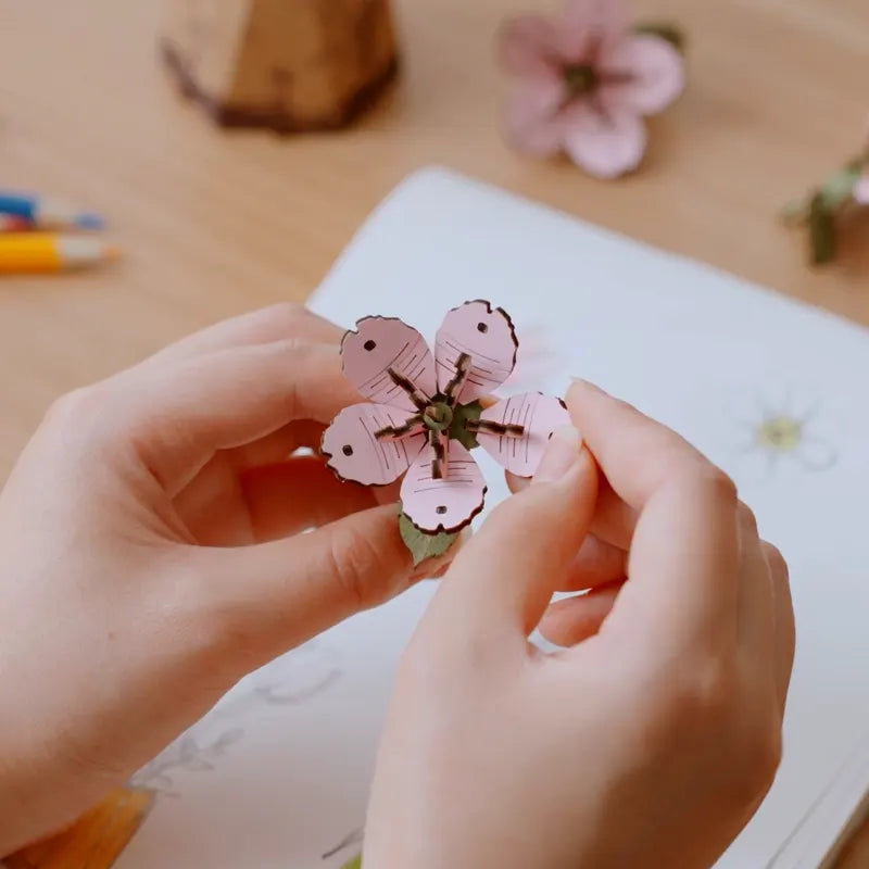 Rowood - Sakura 3D 113 mcx