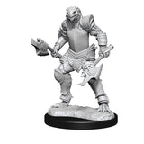 D&D Nolzur's Marvelous Unpainted Miniatures - Wave 15: Dragonborn Fighter Female