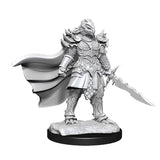 D&D Nolzur's Marvelous Unpainted Miniatures - Wave 15: Dragonborn Fighter Female