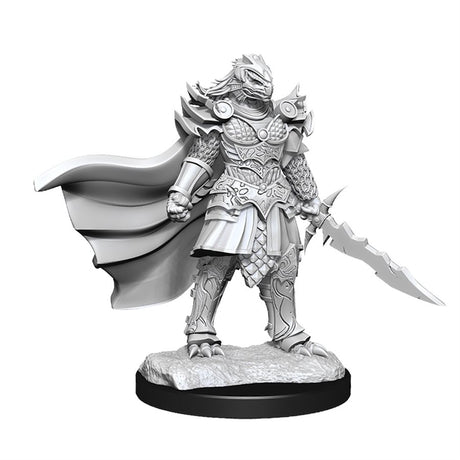 D&D Nolzur's Marvelous Unpainted Miniatures - Wave 15: Dragonborn Fighter Female