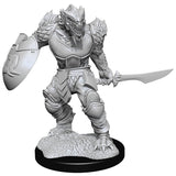 D&D Nolzur's Marvelous Unpainted Miniatures - Wave 15: Dragonborn Fighter Male