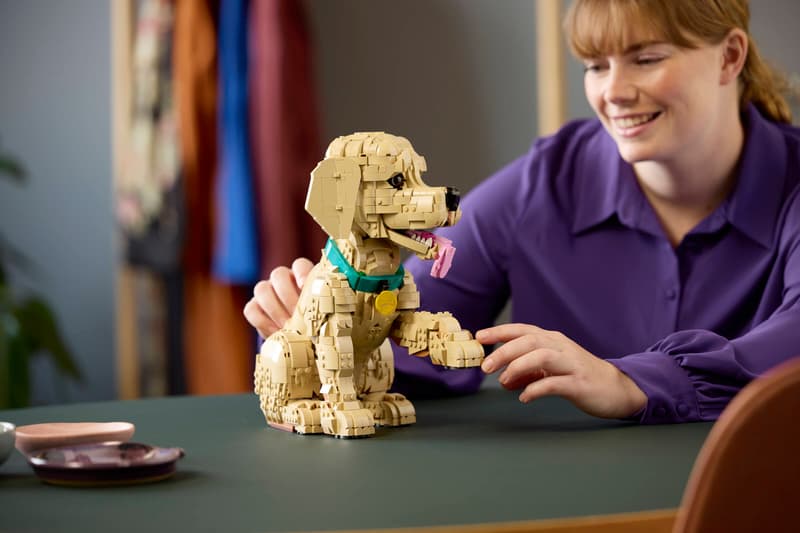 Golden Retriever Puppy - Icons