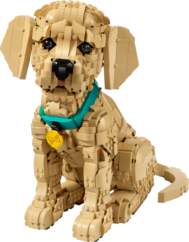 Golden Retriever Puppy - Icons