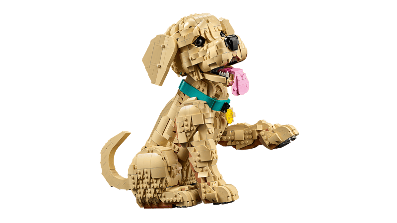 Golden Retriever Puppy - Icons