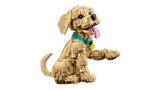 Golden Retriever Puppy - Icons