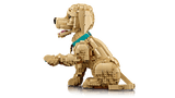 Golden Retriever Puppy - Icons