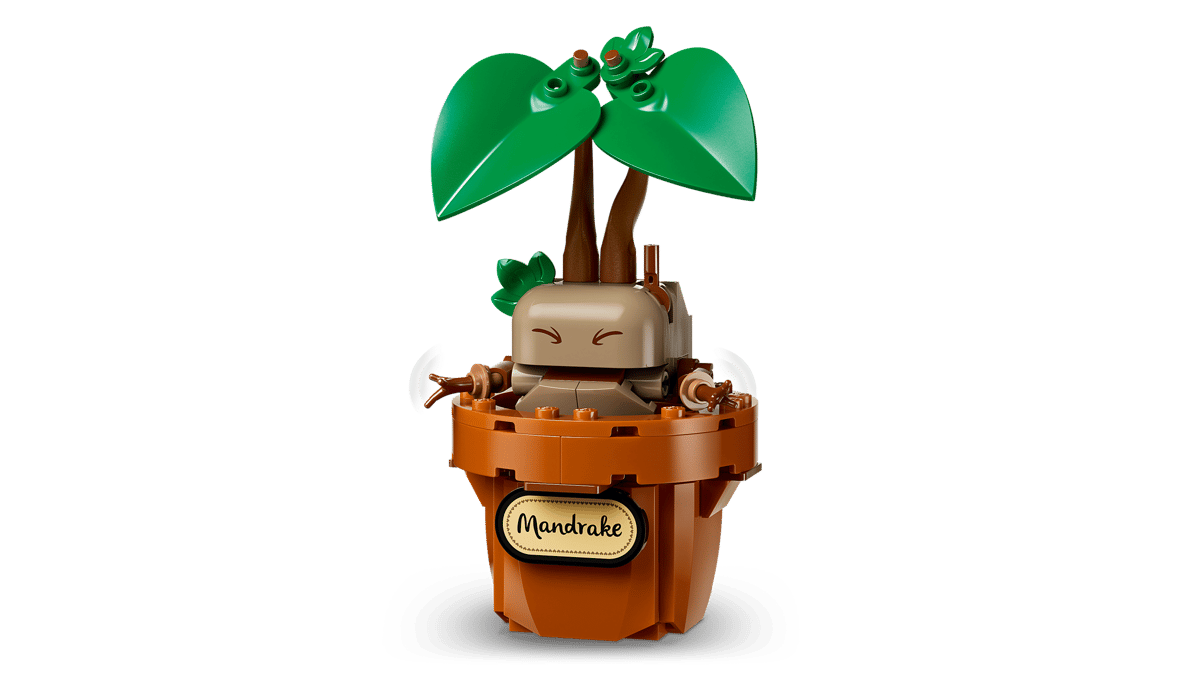 Les plantes du cours de botanique de Poudlard - Harry Potter