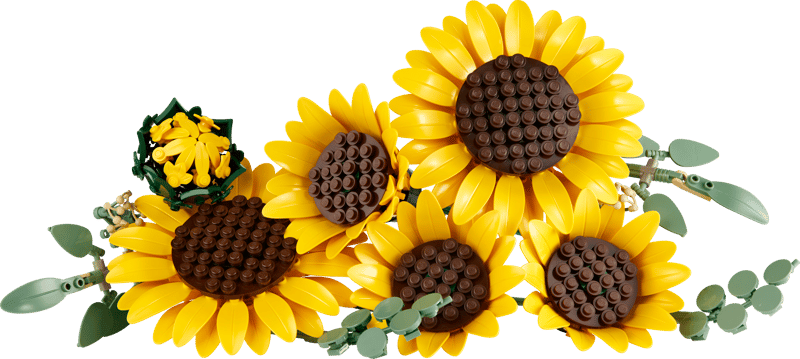 Sunflower Bouquet - Botanical Collection