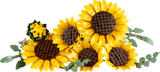 Sunflower Bouquet - Botanical Collection