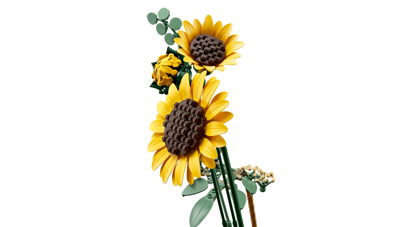 Sunflower Bouquet - Botanical Collection