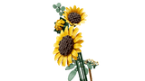 Sunflower Bouquet - Botanical Collection