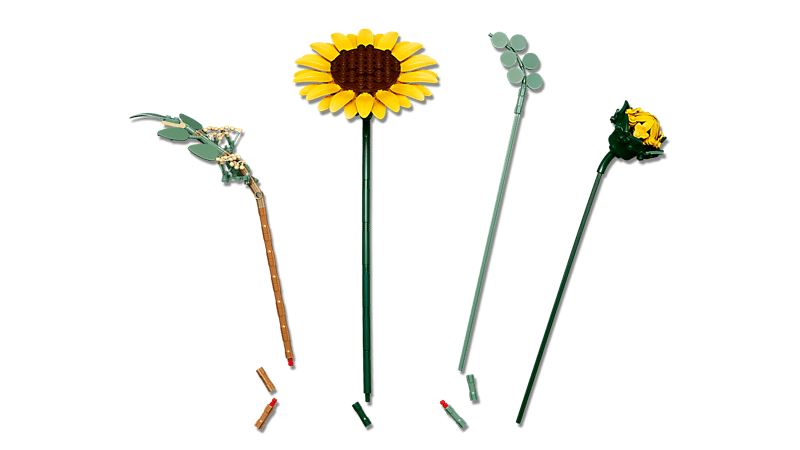 Sunflower Bouquet - Botanical Collection