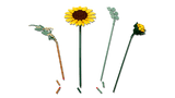 Sunflower Bouquet - Botanical Collection