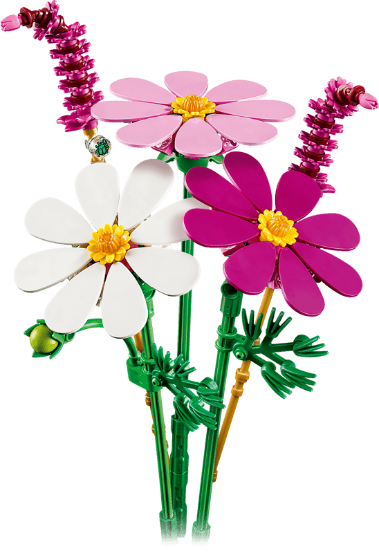Les cosmos - Botanical Collection