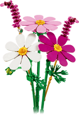 Les cosmos - Botanical Collection